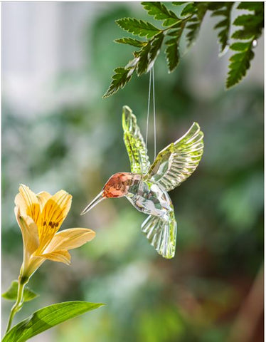 4.5" RED THROATED HUMBIRD,ACR
Red Throated Hummingbird Ganz