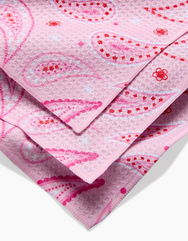 Sweet Paisley Dishcloth Set Geometry