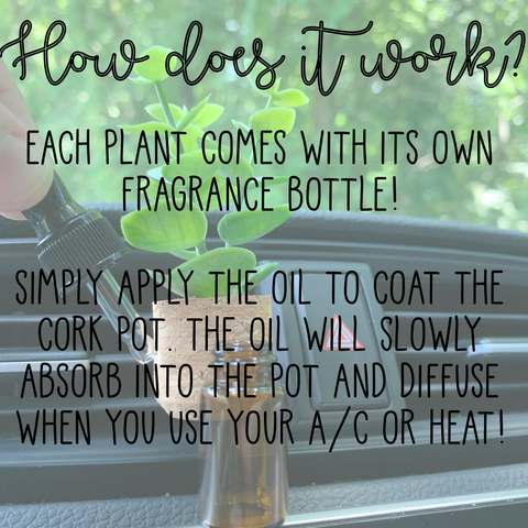 Plant Car Vent Clip Air Freshener Diffuser (Reusable): Caribbean Teakwood / F Vroom Blooms