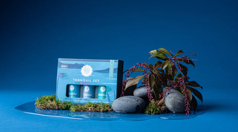 The Tranquil Essential Oil Collection - Treehouse Gift & Home - Onalaska Wisconsin