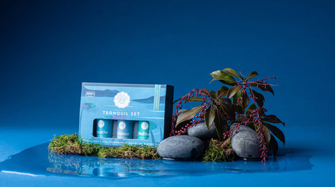 The Tranquil Essential Oil Collection - Treehouse Gift & Home - Onalaska Wisconsin