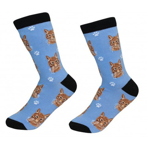 Orange Tabby Cat Socks E&S Pets