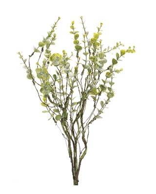 Boxwood Spray 18"H Plastic Melrose