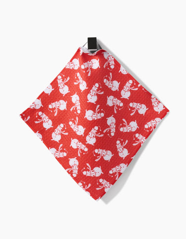 Smiley Frosty Dishcloth Set Geometry