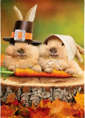 Bunny Pilgrims Suede Garden Flag Evergreen Enterprises