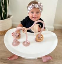 On-the-Go Suction Table Toy - Petal Pink Calla & Friends