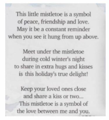 Merry Mistletoe Charm Ganz