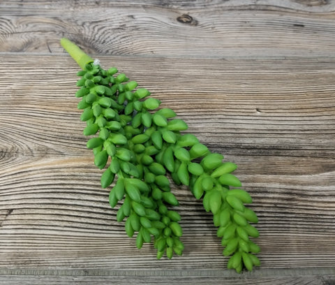9.5" Hanging Sedum Bush - Treehouse Gift & Home