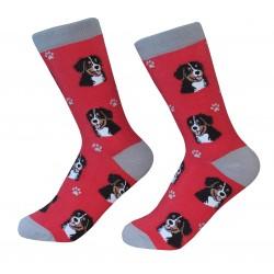 Bernese Mt. Dog  Socks - Treehouse Gift & Home