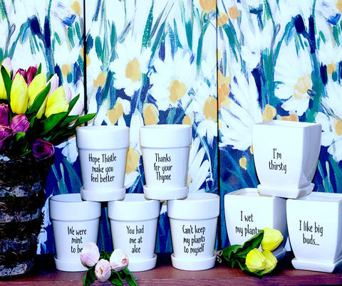 Cute & Funny Decal Pots with Saucer - Treehouse Gift & Home