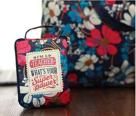 Fab Girl Bag-Teacher Evergreen Enterprises