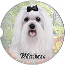 Maltese Car Coaster - Treehouse Gift & Home
