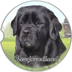 Newfoundland Car Coaster - Treehouse Gift & Home