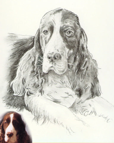 Pet Portraits Workshop - Intro to Charcoal Portraits Treehouse Gift & Home