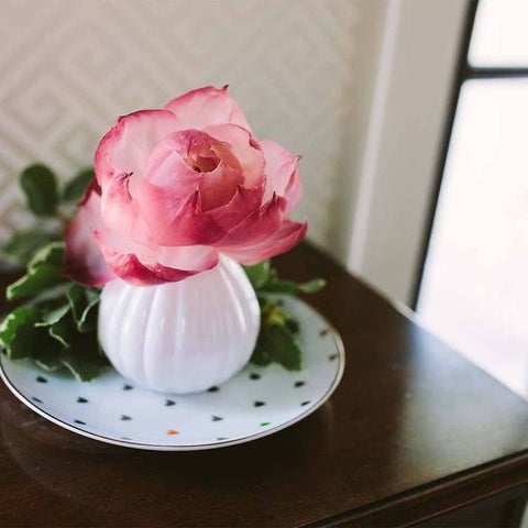 Sweet Grace Rose Diffuser Gift - Treehouse Gift & Home